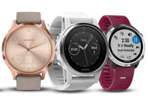 Garmin 100